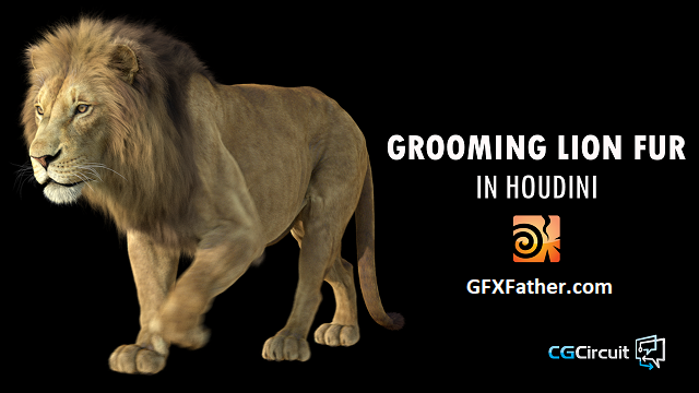 CGCircuit Grooming Lion Fur in Houdini Free Download