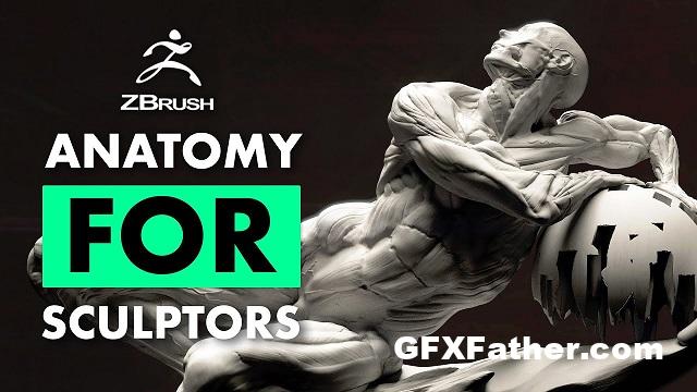 FlippedNormals Fundamental Anatomy for Sculptors Free Download