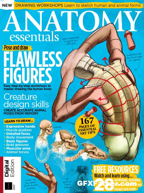 ImagineFX Presents Anatomy Essentials - 12th Edition 2022 Free Download