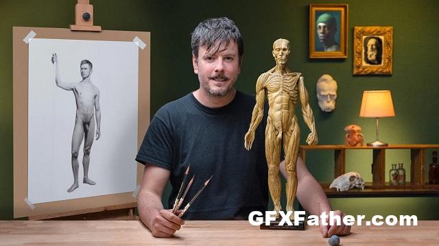 Domestika Realistic Human Figure Drawing Free Download