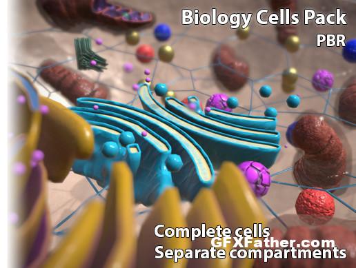 Biology Cells Pack Unity Asset
