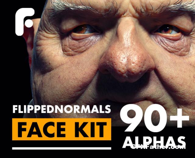 Flippednormals Face Kit