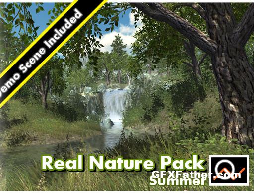 Real Nature Pack 1 Summer Unity Asset
