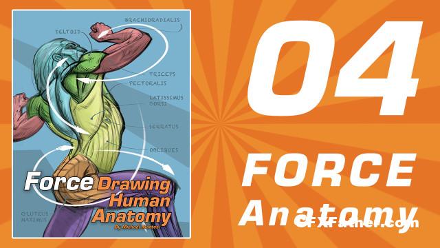 FORCE Drawing Courses 04 FORCE Human Anatomy by Michael Mattesi