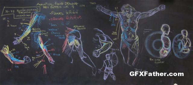 Gnomon Workshop Anatomy for Artists with Rey Bustos