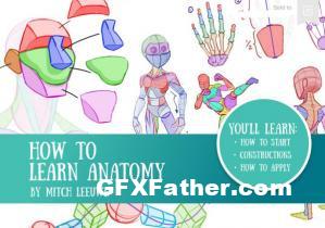How to Learn Anatomy by Mitch Leeuwe