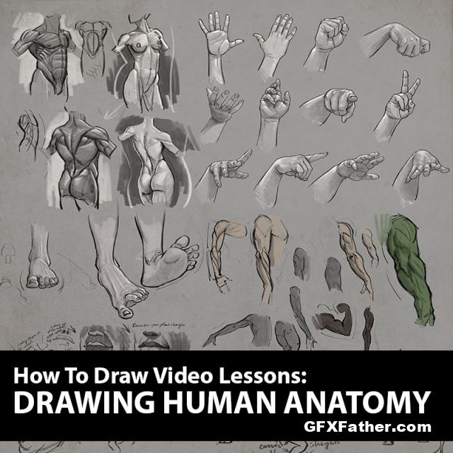 The Art of Aaron Blaise How to Draw - Drawing Human Anatomy