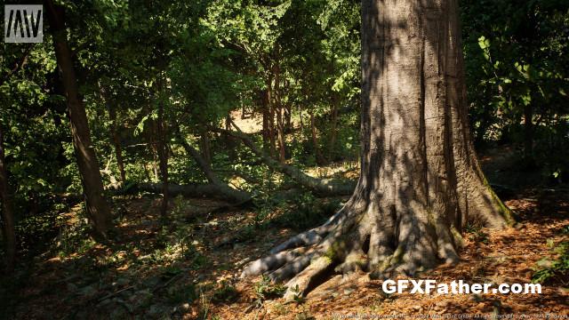 Unreal Engine MW Broadleaf Tree Forest Biome [5.0]