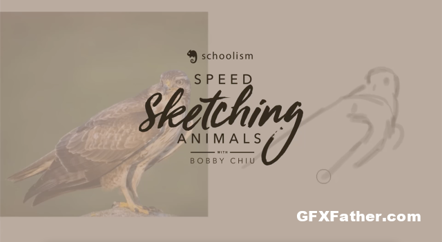 Schoolism Speed Sketching Animals