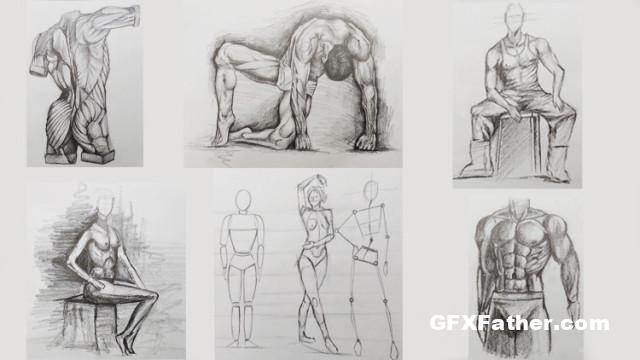 Udemy Figure Drawing Course From Beginner to Advanced