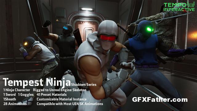 Unreal Engine Tempest Ninja Shadows Series (4.24 - 4.27, 5.0)