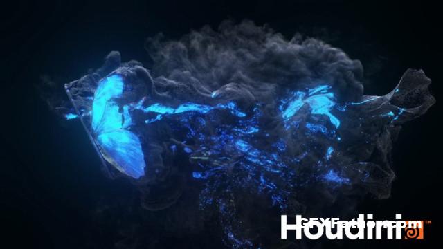 Udemy Magical Butterfly FX in Houdini