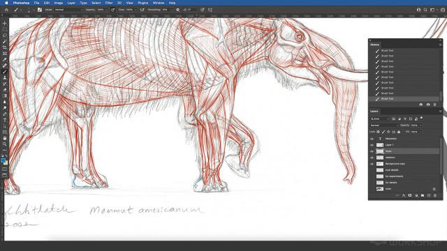 The Gnomon Workshop Elephant Anatomy Vol. 2 Prehistoric Studies & Imaginary Concepts