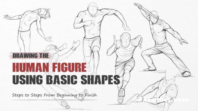 Wingfox Drawing the Human Figure Using Basic Shapes