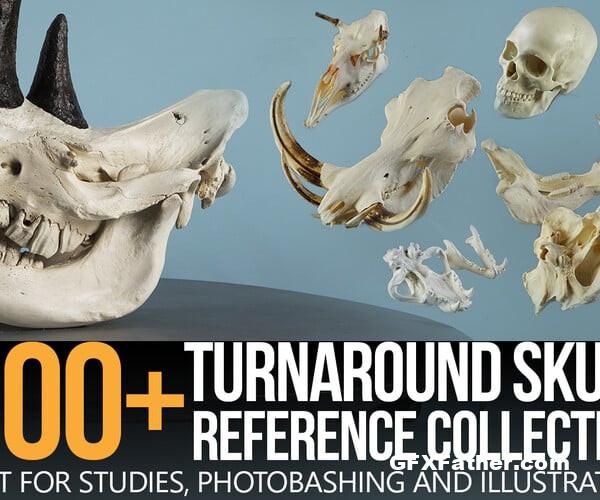 ArtStation 1000+ Skull Reference Collection (Pt. II)