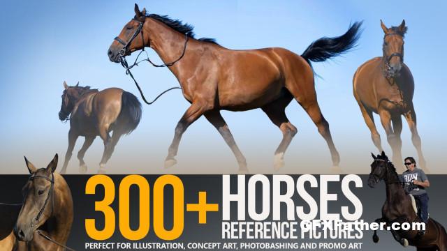 ArtStation 300+ Horses Reference Pictures