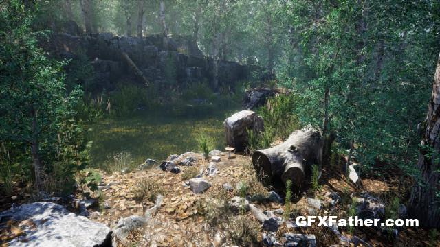 Unreal Engine Meadow Environment Set (4.21 - 4.27, 5.0 - 5.1)