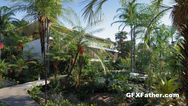 Globe Plants - Bundle 15 Palm World