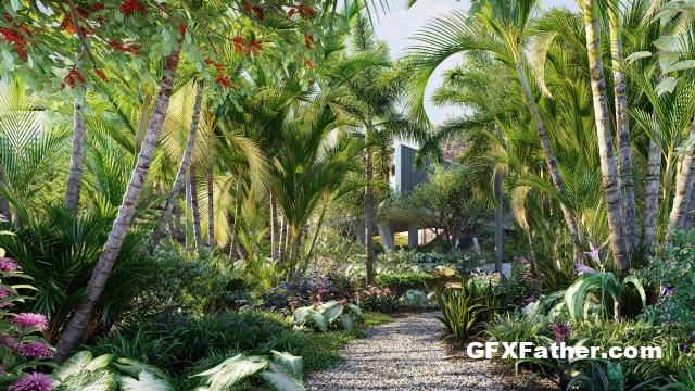 Globe plants - Bundle 32 - Brazilian Home & Garden Plants