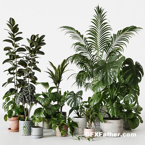 3Dcollective Interior Plants Pack 01 Free Download