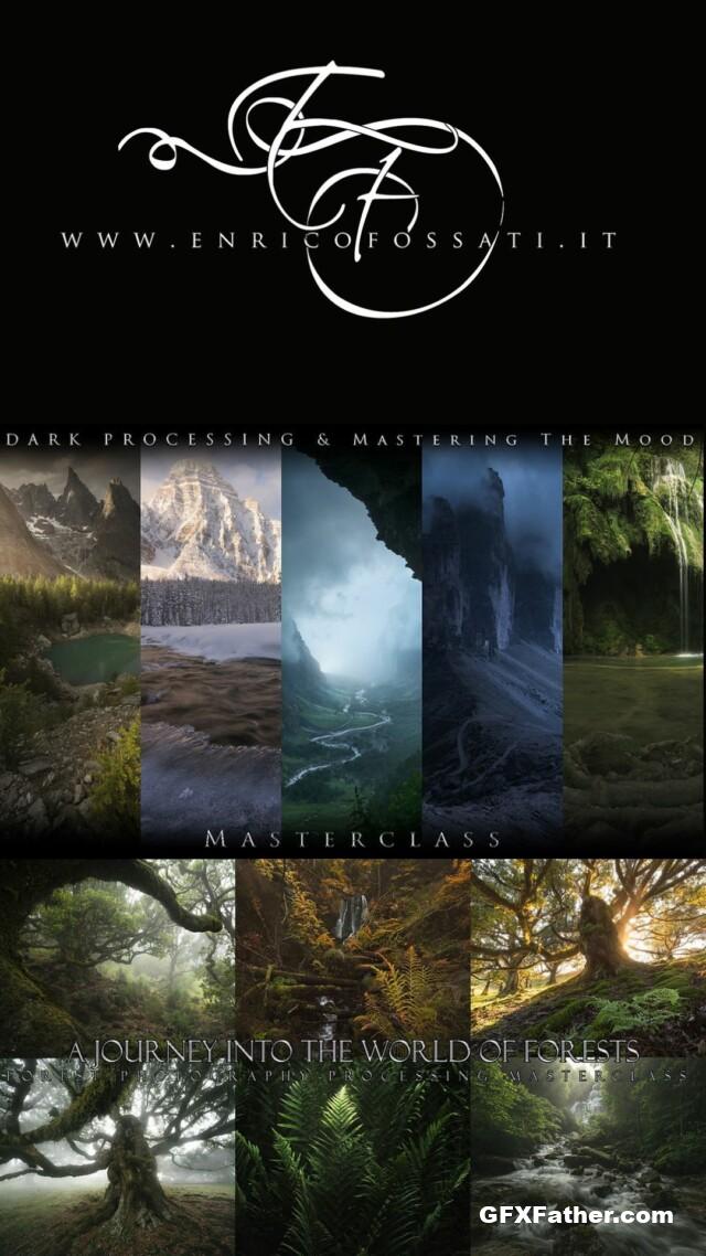 A Journey into the world of forests - Enrico Fossati Free Download