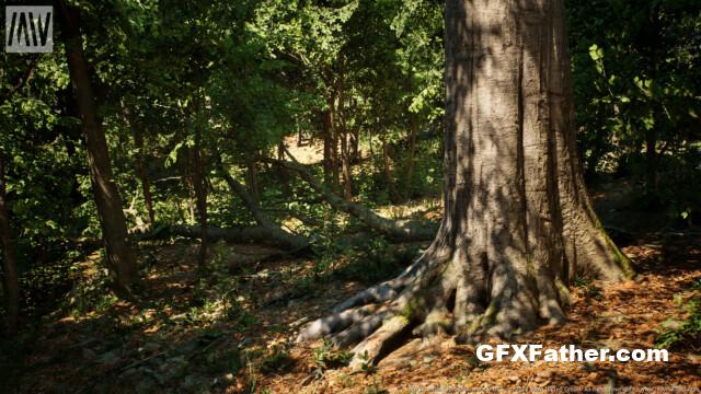 Unreal Engine MW Broadleaf Trees Forest Biome (5.2)
