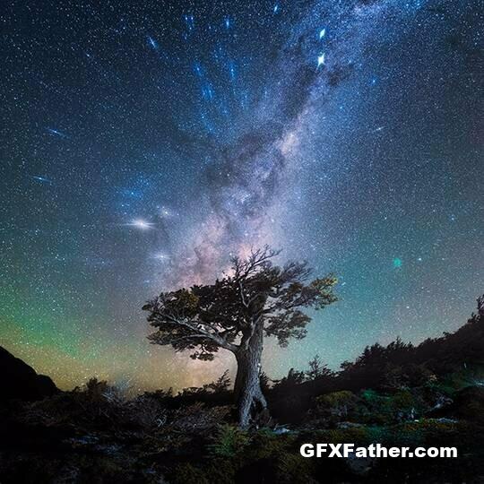 Daniel Kordan Photography - Patagonia Night Sky Panorama Baobab
