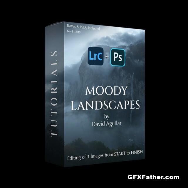 David Aguilar - Moody Landscapes