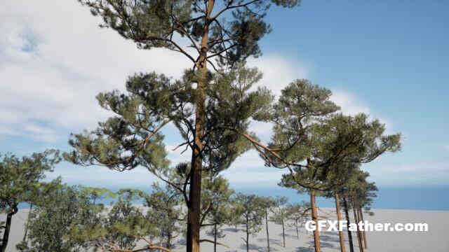 Unreal Engine Realistic pine trees V3