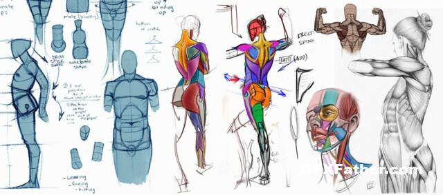 CGMA - Michael Hampton - Analytical Figure Drawing Parts 1 and 2