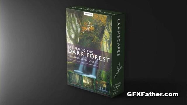 Daniel Laan - Return to the Dark Forest