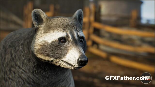 Unreal Engine Animalia - Raccoon