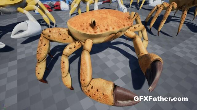 Unreal Engine Crab - Animated Creature