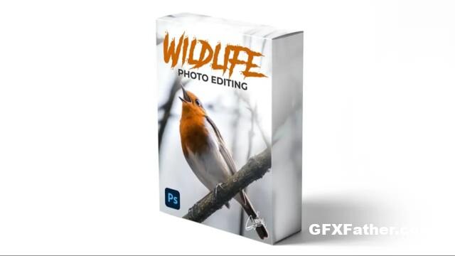 Zenja Gammer – zenzcourses – Wildlife Photo Editing Course