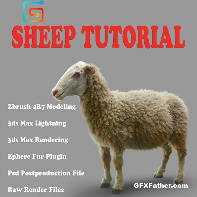 Raveecg Sheep Tutorial Videos FRee Download