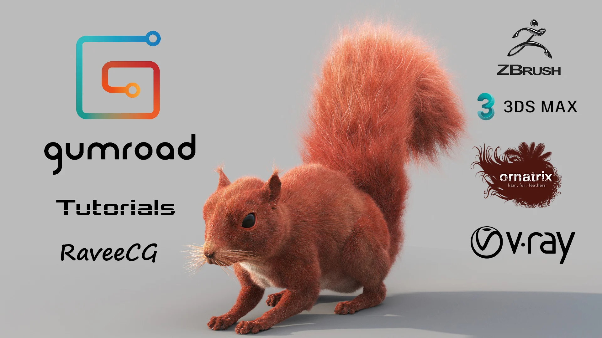 Raveecg Squirrel Video Tutorials FRee Download