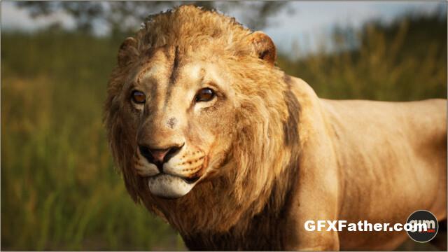 Unreal Engine Animalia - Lion (male)