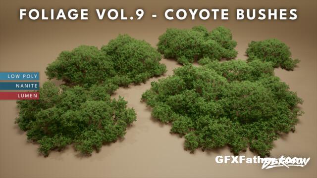 Unreal Engine Foliage VOL.9 - Coyote Bushes (Nanite and Low Poly)