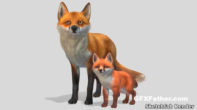 Unreal Engine Fox Family