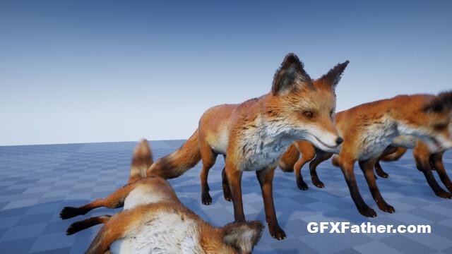 Unreal Engine Fox