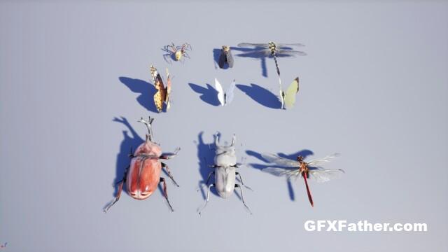 Unreal Engine Japanese Insect Pack