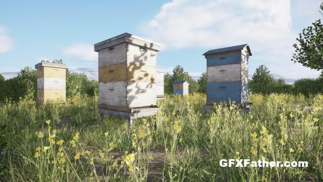 Beehives Modular Pack