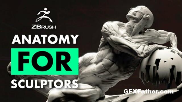 Flippednormals - Fundamental Anatomy for Sculptors
