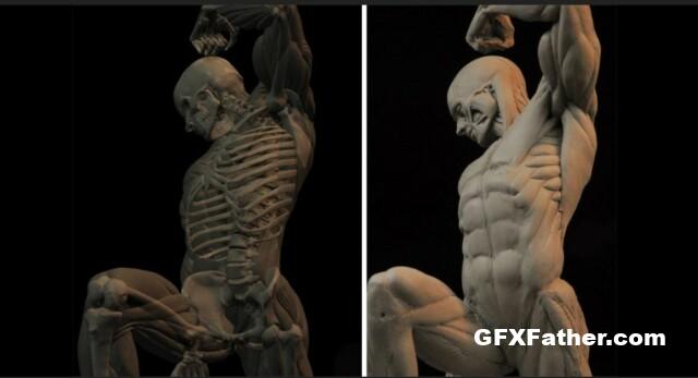 New Masters Academy - The Dynamic Anatomy Figure in Clay