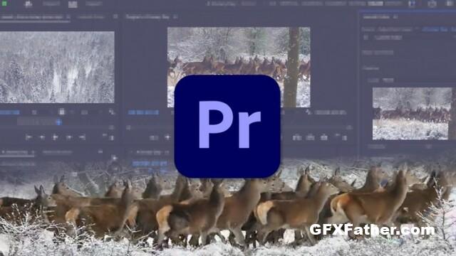 Udemy - Learn Premiere Pro Video Editing for Absolute Beginners